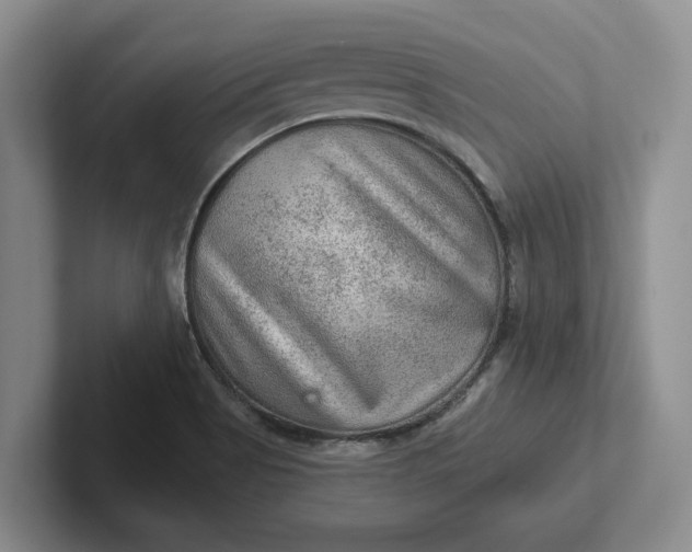 X0000102281513200808081451