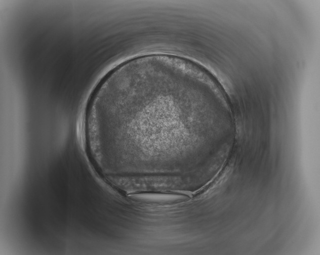 X0000102281515200808081451