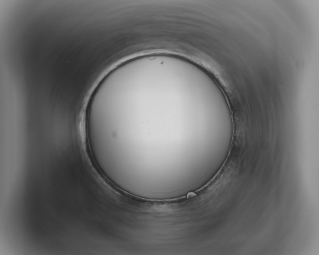 X0000102281516200808081451