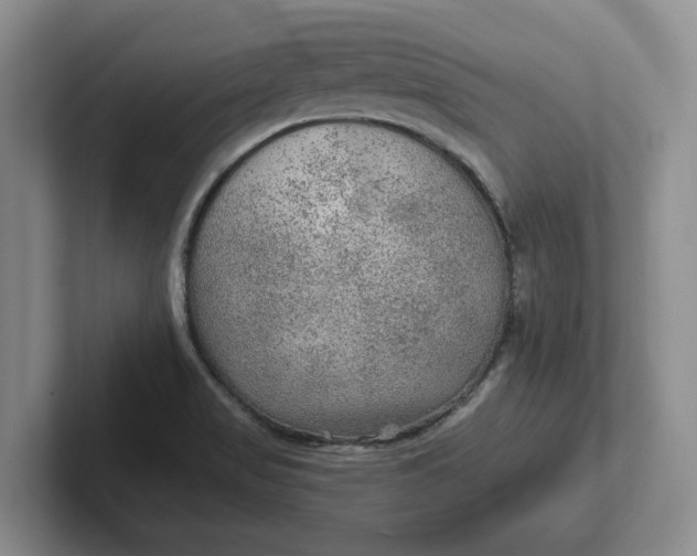 X0000102281517200808081451