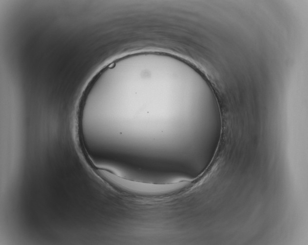 X0000102281518200808081451