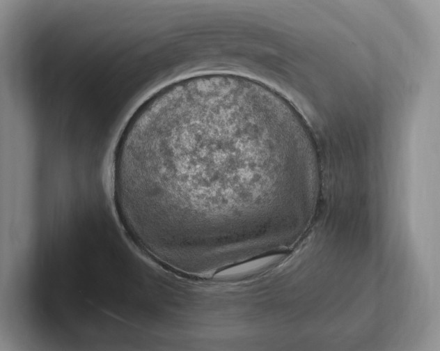 X0000102281519200808081451