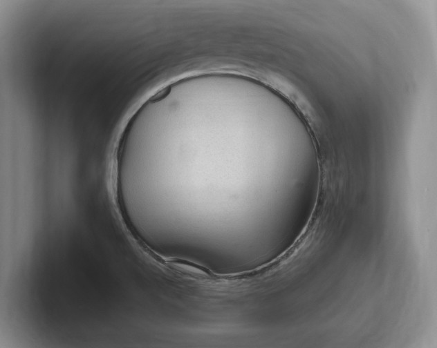 X0000102281520200808081451