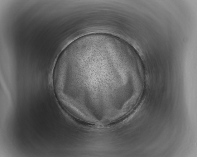 X0000102281521200808081451