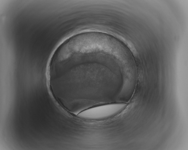 X0000102281522200808081451