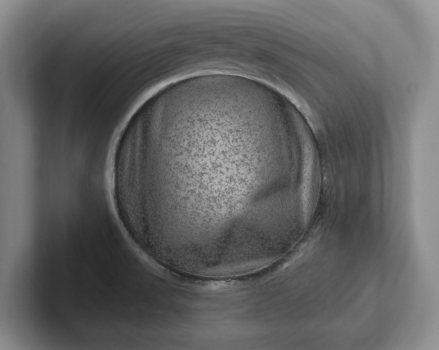 X0000102281523200808081451