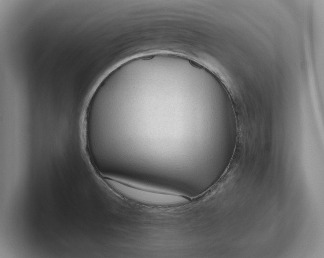 X0000102281524200808081451