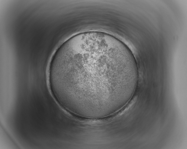 X0000102281525200808081451