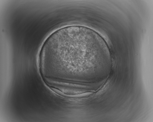 X0000102281527200808081451