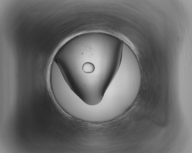 X0000102281528200808081451