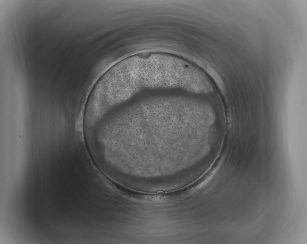 X0000102281529200808081451