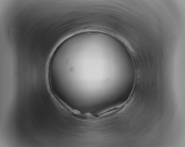 X0000102281530200808081451