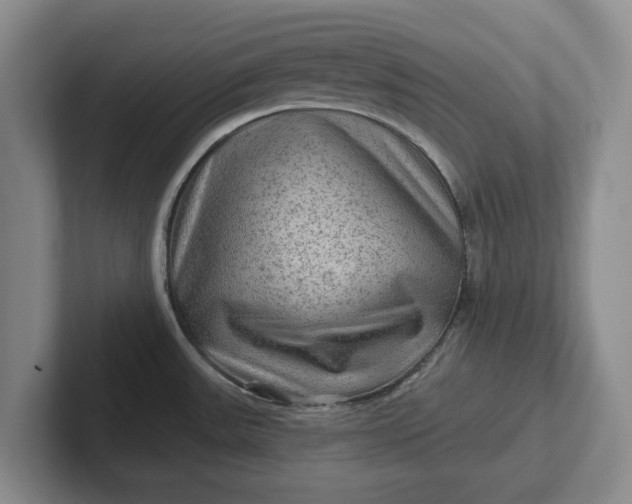 X0000102281531200808081451