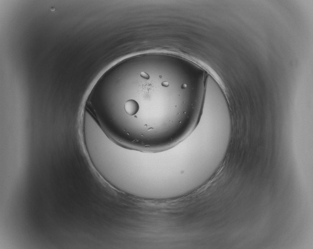 X0000102281532200808081451