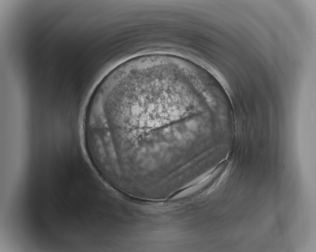 X0000102281533200808081451