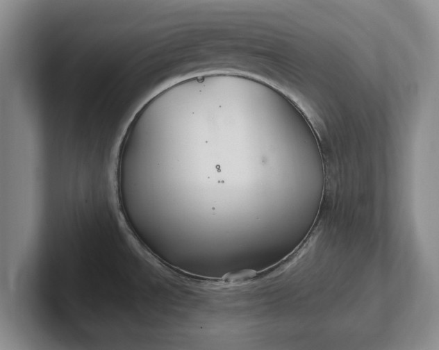 X0000102281534200808081451