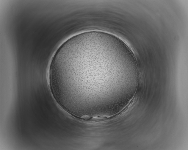 X0000102281535200808081451