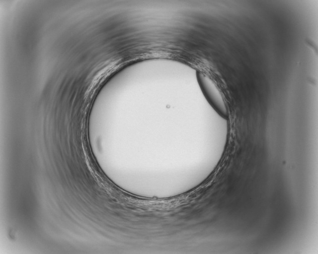 X0000102280001200808151939