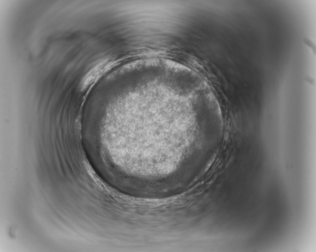 X0000102280002200808151939