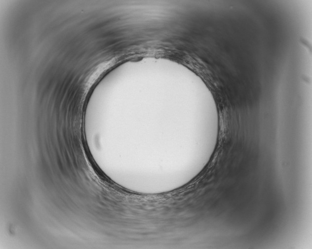 X0000102280003200808151939