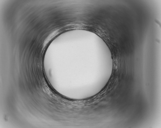 X0000102280004200808151939
