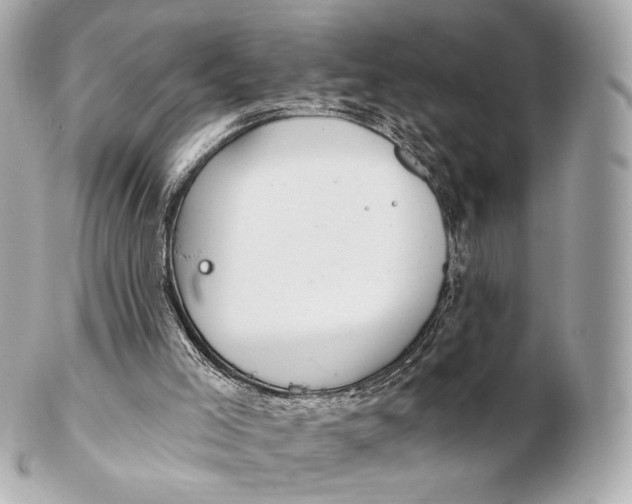 X0000102280005200808151939