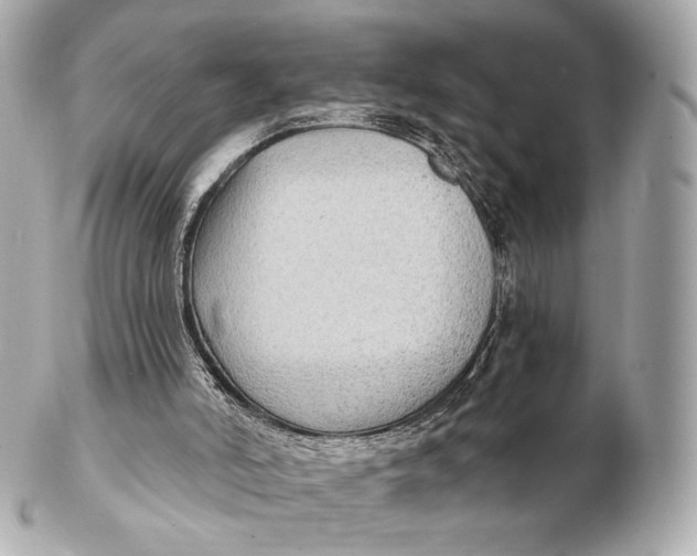 X0000102280006200808151939