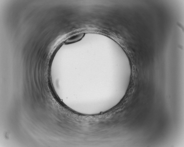 X0000102280007200808151939