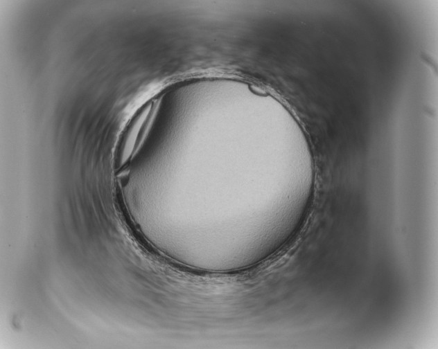 X0000102280008200808151939