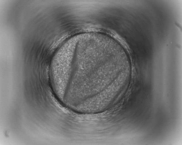 X0000102280009200808151939