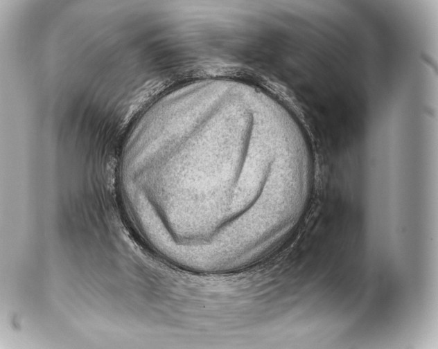 X0000102280010200808151939