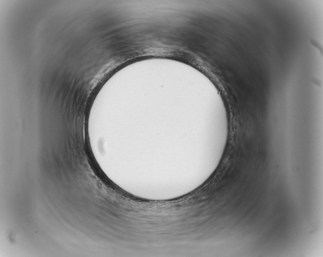 X0000102280011200808151939