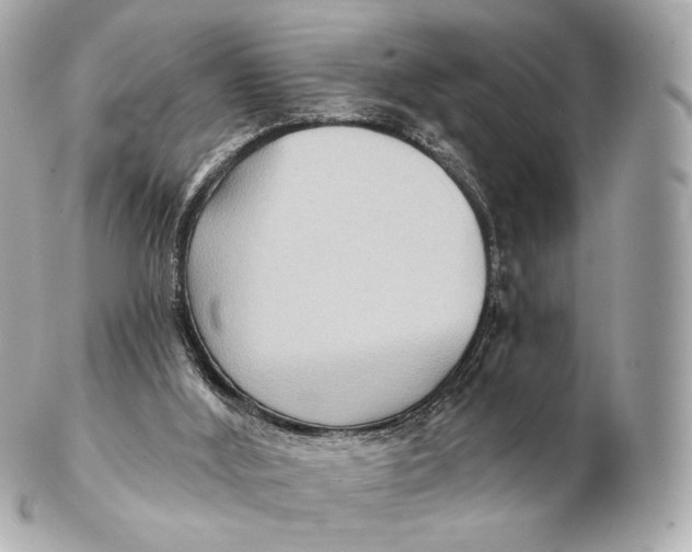 X0000102280012200808151939