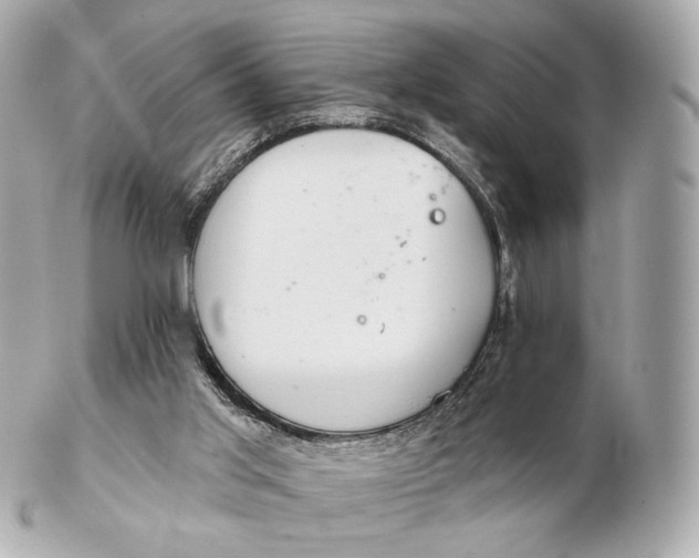 X0000102280013200808151939