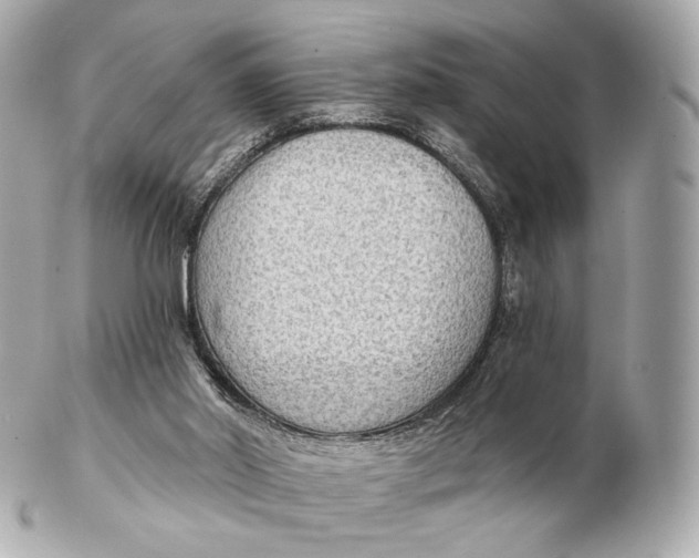 X0000102280014200808151939