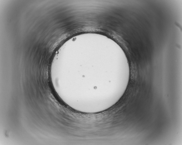 X0000102280015200808151939