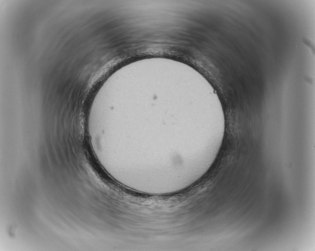 X0000102280016200808151939