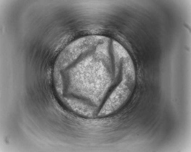 X0000102280018200808151939