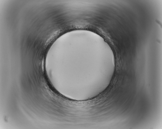 X0000102280019200808151939