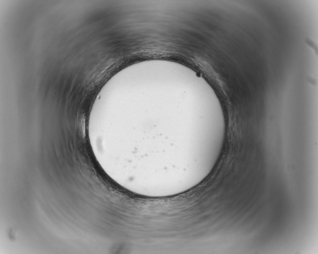X0000102280021200808151939