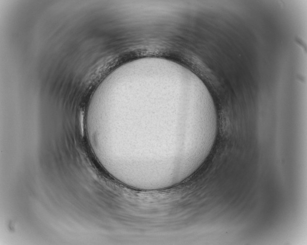 X0000102280022200808151939