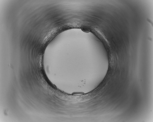 X0000102280023200808151939