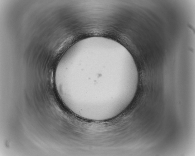 X0000102280024200808151939