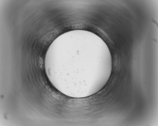 X0000102280025200808151939