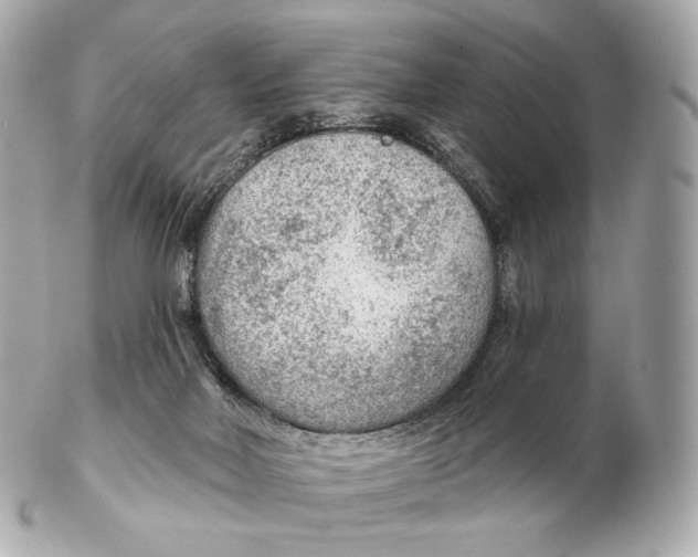 X0000102280026200808151939