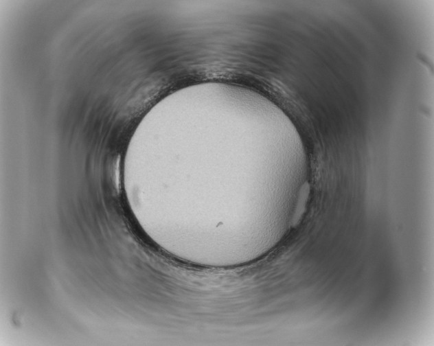 X0000102280028200808151939