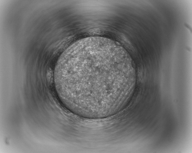 X0000102280029200808151939