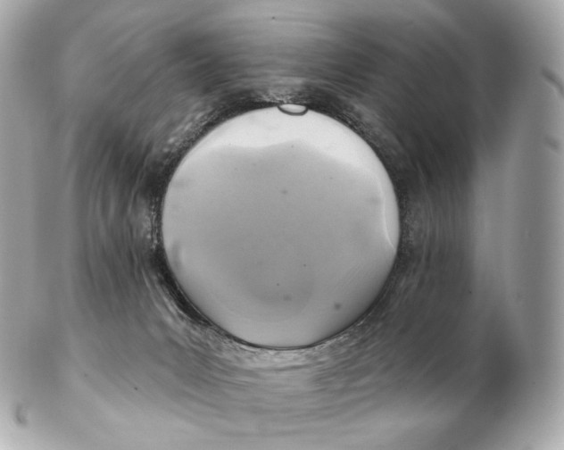 X0000102280031200808151939