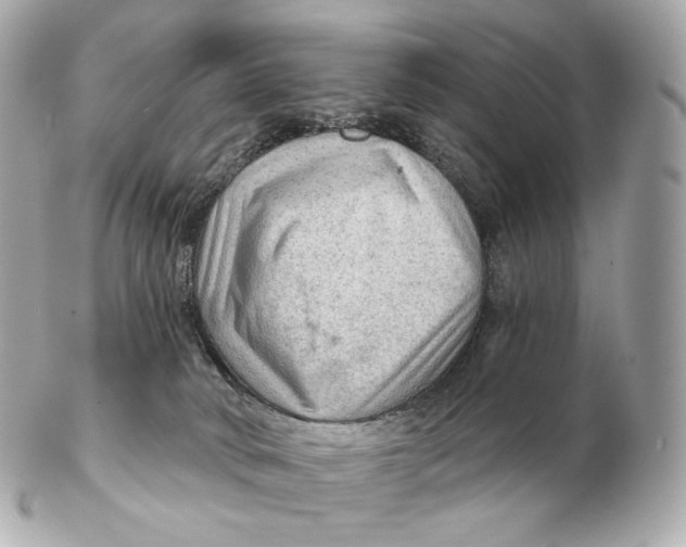 X0000102280034200808151939
