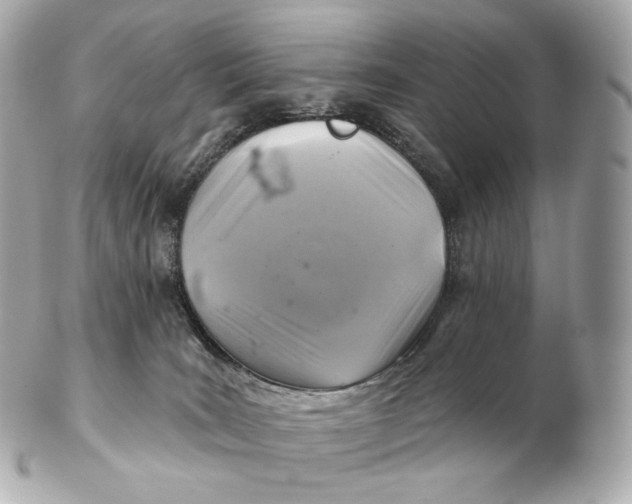 X0000102280035200808151939